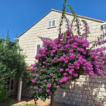 Blue Promenade Dubrovnik