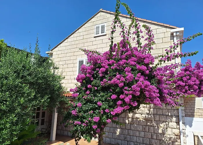 Blue Promenade Dubrovnik