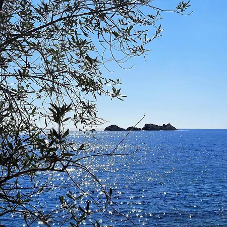 Blue Promenade 杜布罗夫尼克